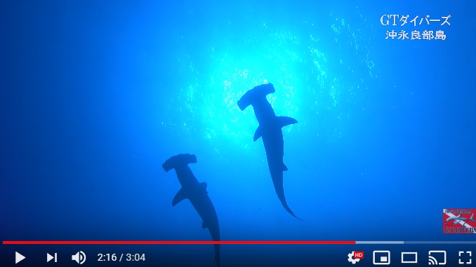 沖永良部島でダイビング